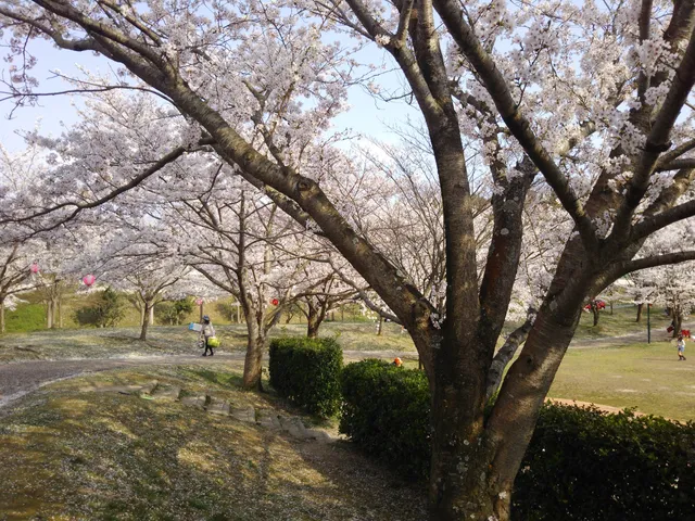 じゅらくの里 大型遊具