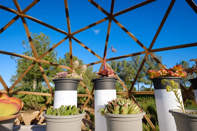 BiBo Park (Ibiza Botánico Biotecnológico)