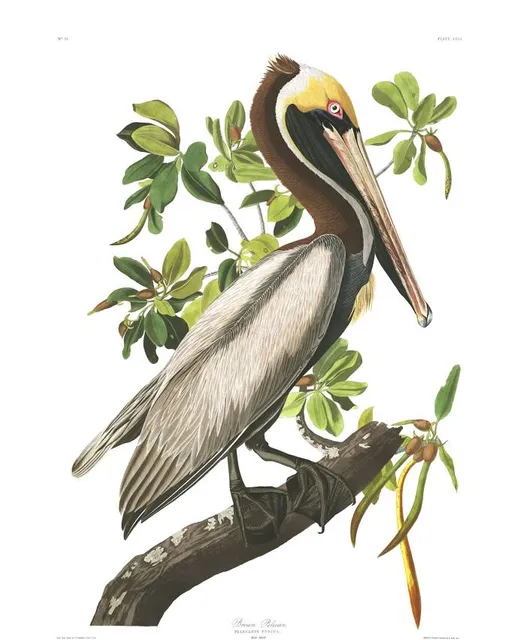 Audubon House & Tropical Gardens