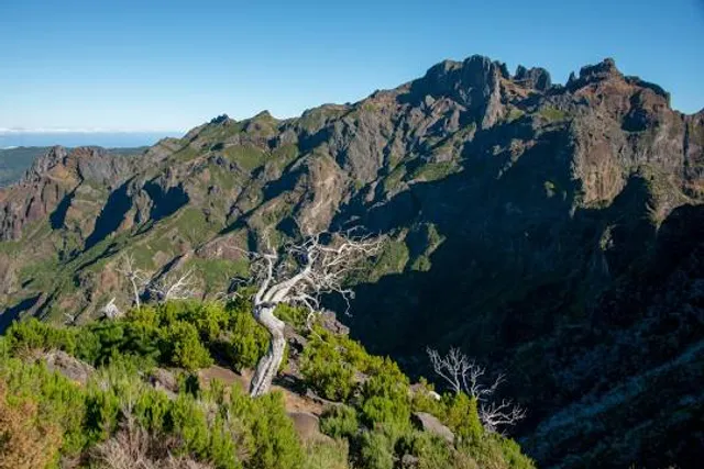 PR 1.2 Vereda do Pico Ruivo