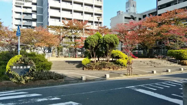 photo-1