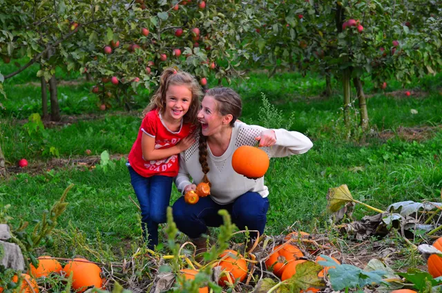 Applebarn Pumpkin Farm (Taves Farms)