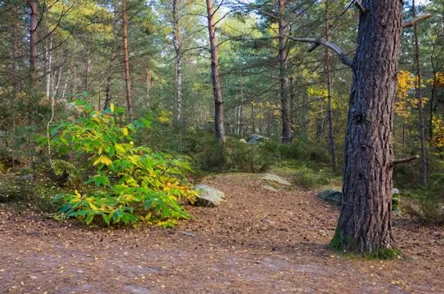 Les sables du Cul de Chien