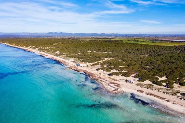 Spiaggia delle Capanne e dei Tronchi