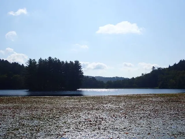 Bass Lake