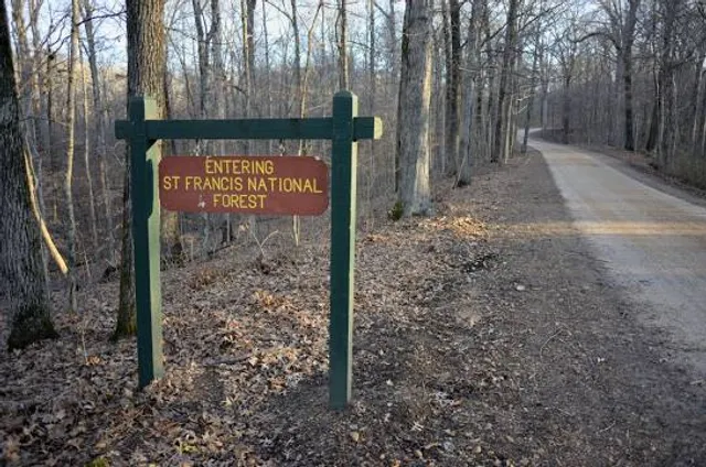 St. Francis National Forest
