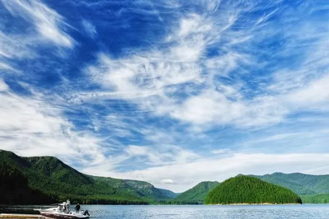 Mongold Day Use Area (Detroit Lake State Park)