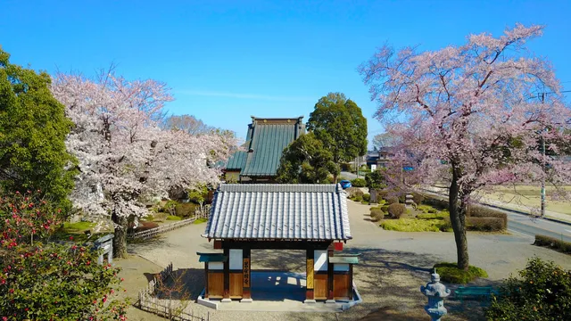 Shimotsuke Yakushiji