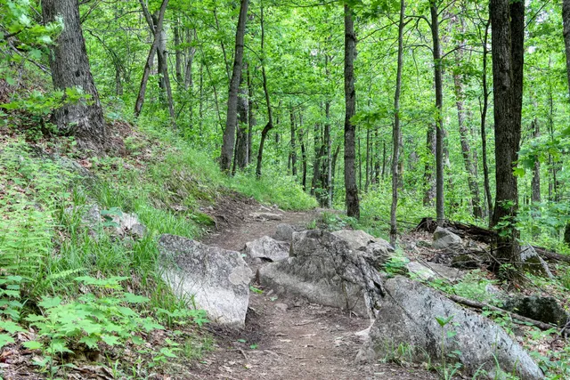 Parc Des Montagnards