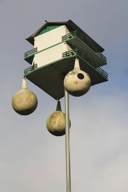 Birdhouse City