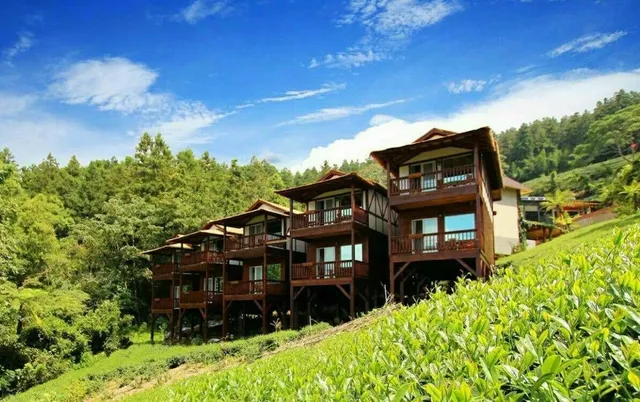 Applause in the Mountain 掌聲響起民宿