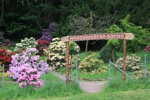 Rhododendrongarten