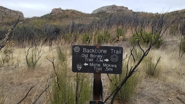 Mishe Mokwa Trailhead Parking Lot