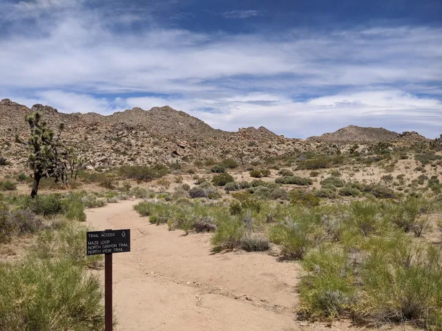 Maze Loop Trailhead