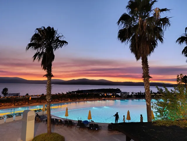 EUPHORIA HEALTHY LIFE ZONE