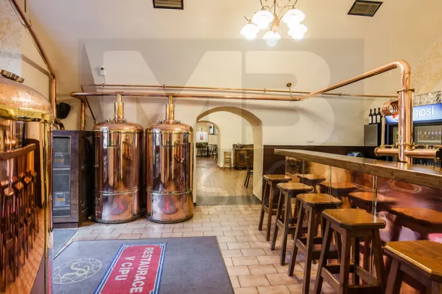 Restaurace V Cípu Michalská