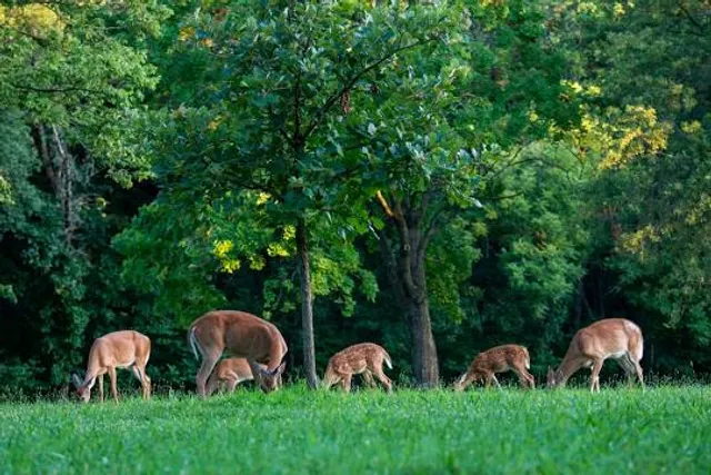 Wyandotte County Lake Park