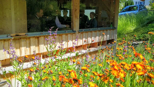 Erlebnisimkerei Seeg