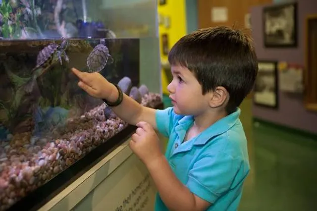 KidsQuest Children's Museum