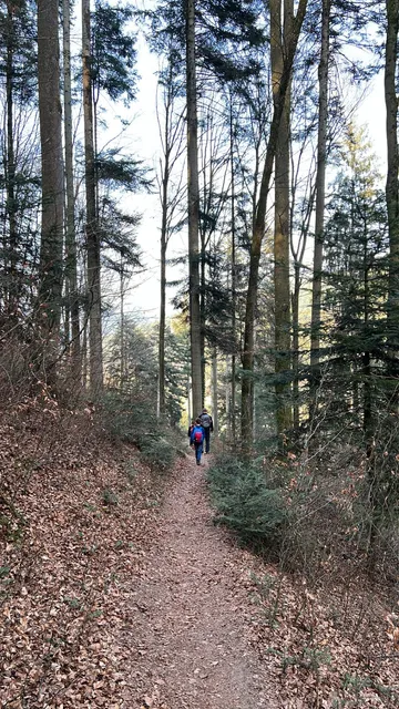 Wald- und Erlebnispfad