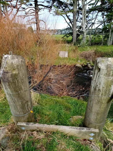 The Stony River (Hangatahua) Walkway