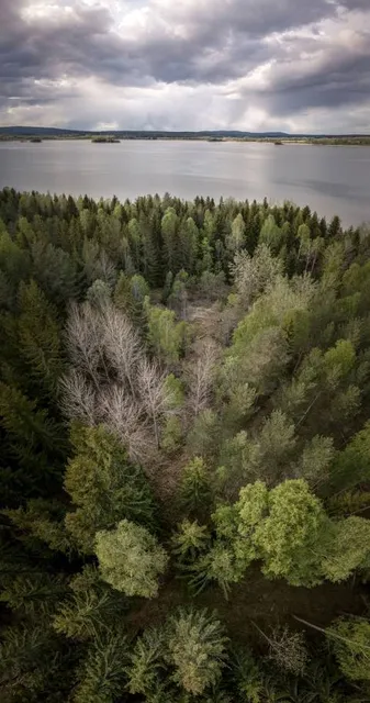 Shackford Head State Park