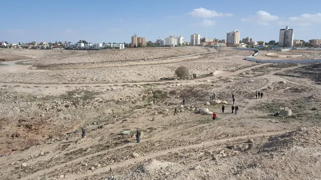 photo-1