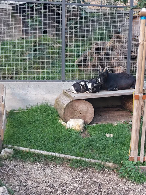 Wildpark Mühletäli