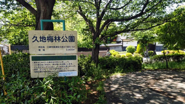 Kuji Plum Grove Park