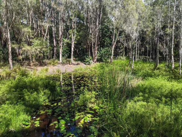 Ben Bennett Bushland Park