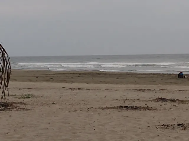 place image