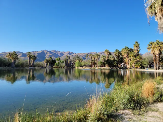 Agua Caliente Regional Park