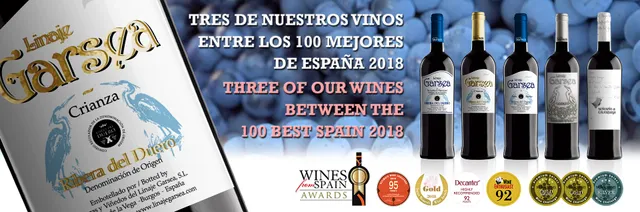 Bodegas y Viñedos Linaje Garsea - Ribera del Duero