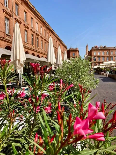 Au Petit Train Touristique de Toulouse
