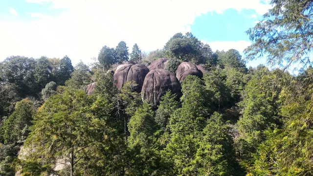 photo-3