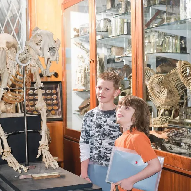 Grant Museum of Zoology
