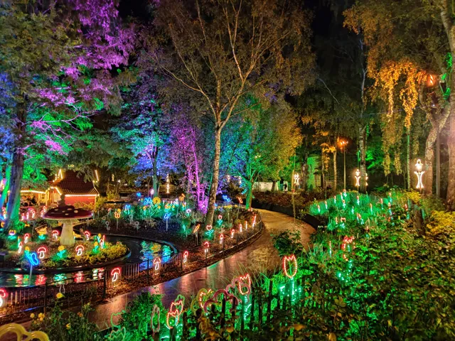 Blumenmeer Bootsfahrt