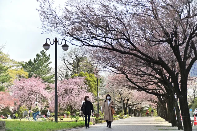 Takasaki Castle Site Park