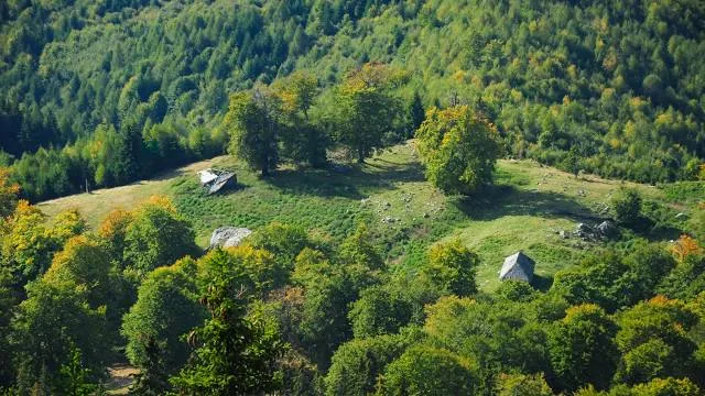 Căpătânii Mountains