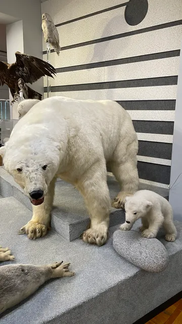 Magadanskiy Oblastnoy Krayevedcheskiy Muzey