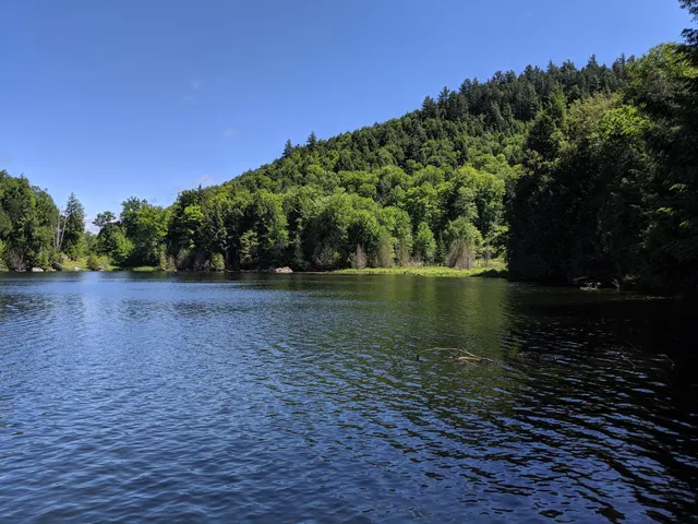 Parc régional de la forêt Bowman
