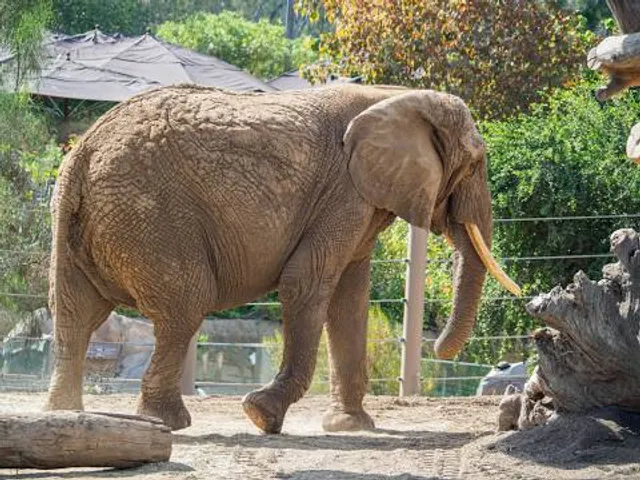 San Diego Zoo
