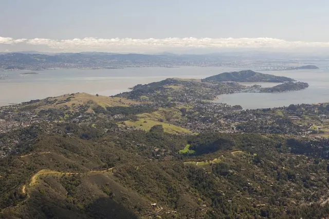 Tiburon Peninsula