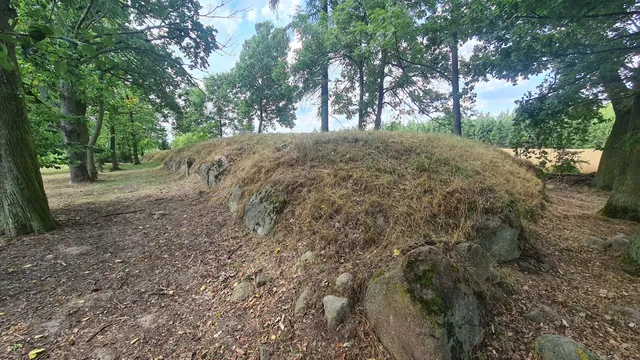 Nadleśnictwo Koło. Lasy Państwowe