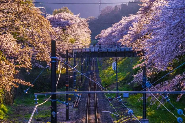 Yamakitatetsudo Park