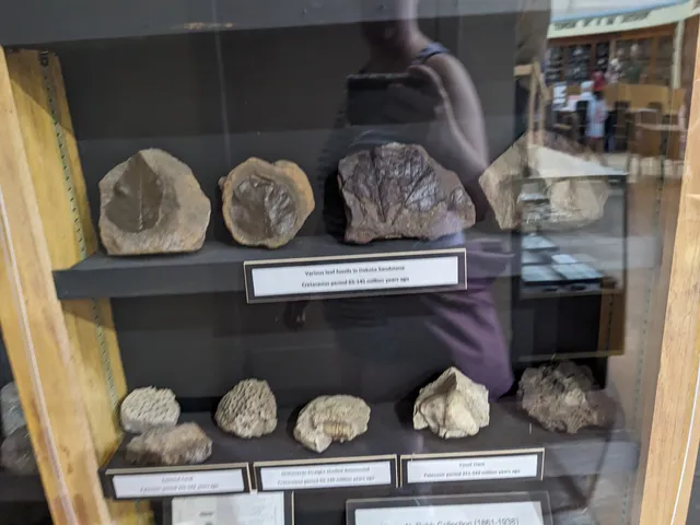 Derby Historical Museum