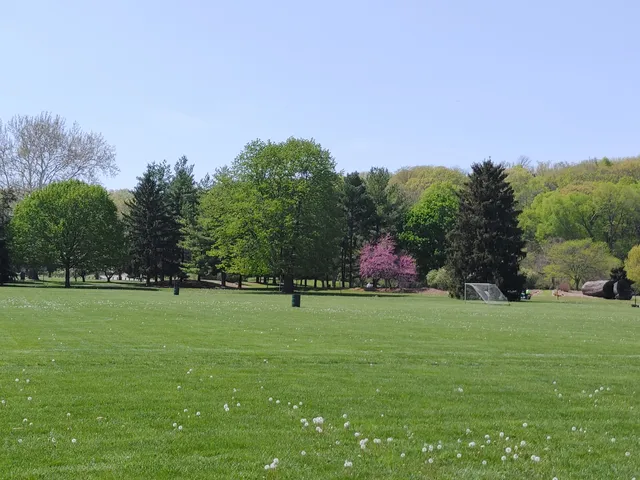 Detweiller Park