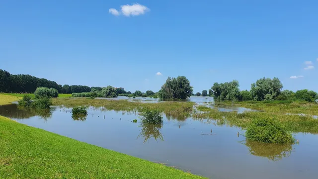 Natuurgebied maasuiterwaarden
