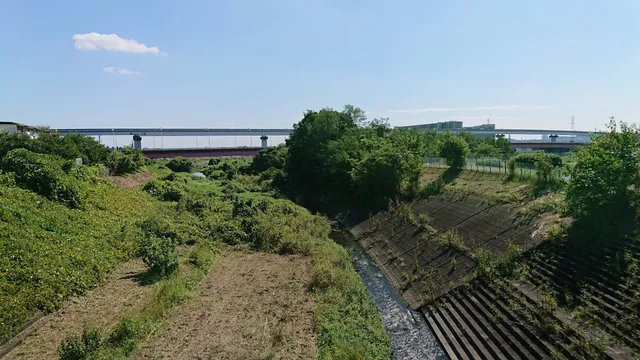 photo-1