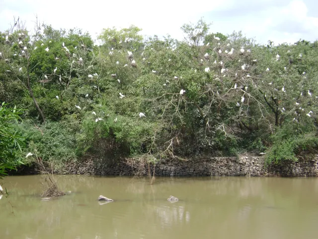 Mandagadde Bird Sanctuary